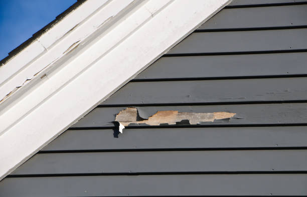 Best Historical Building Siding Restoration  in Airy Heights, WA